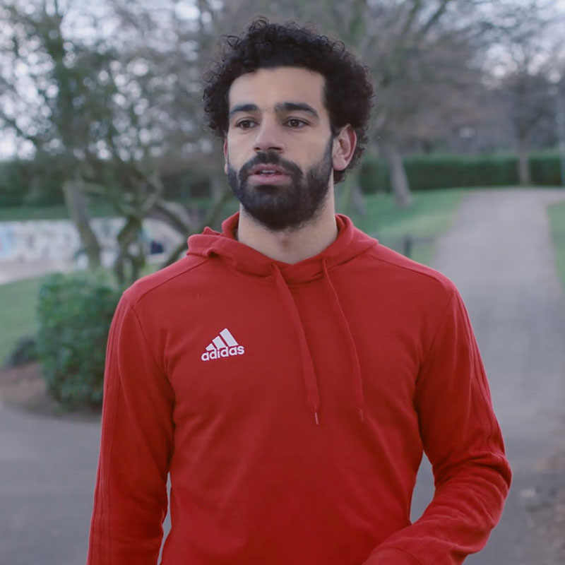 About <span class="text-color-red">Fund for Combating and Treating Addiction and Drug Abuse</span> 1++