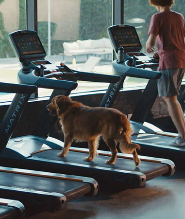 <span class="text-color-red">ElMarasem</span> 1++