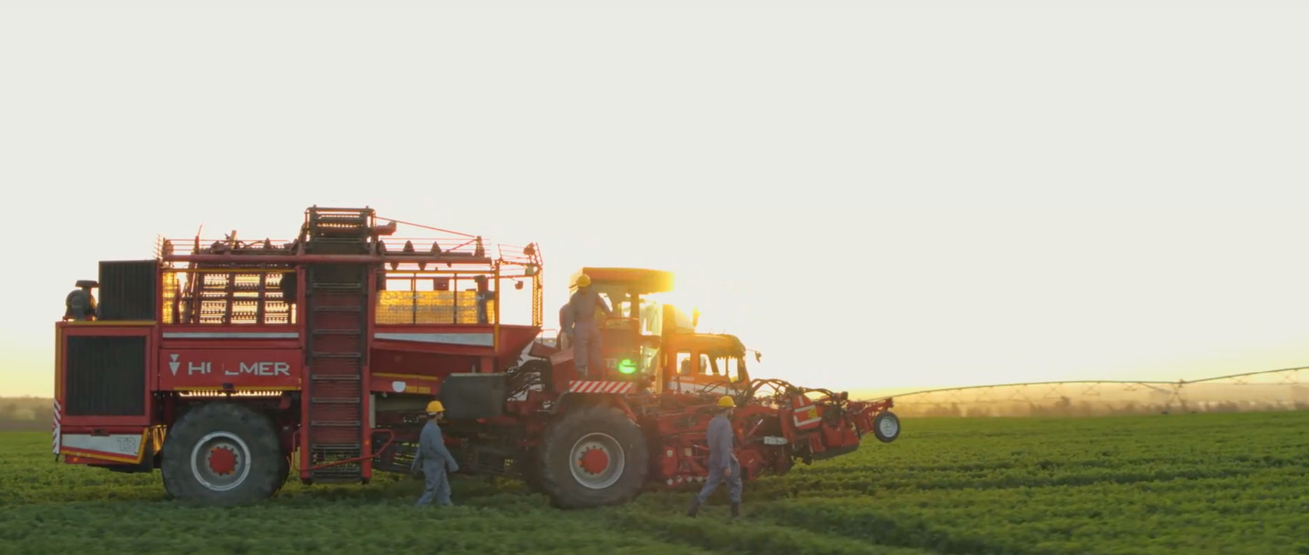 <span class="text-color-red">Agricultural Bank of Egypt</span> 1++