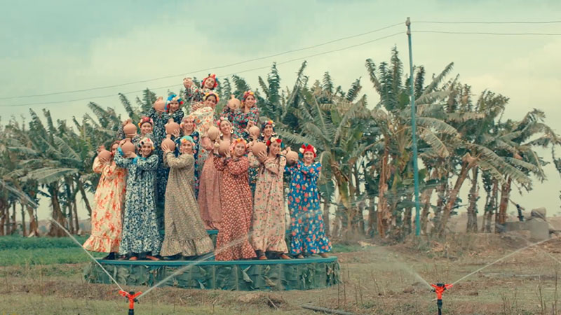 <span class="text-color-red">Agricultural Bank of Egypt</span> 1++